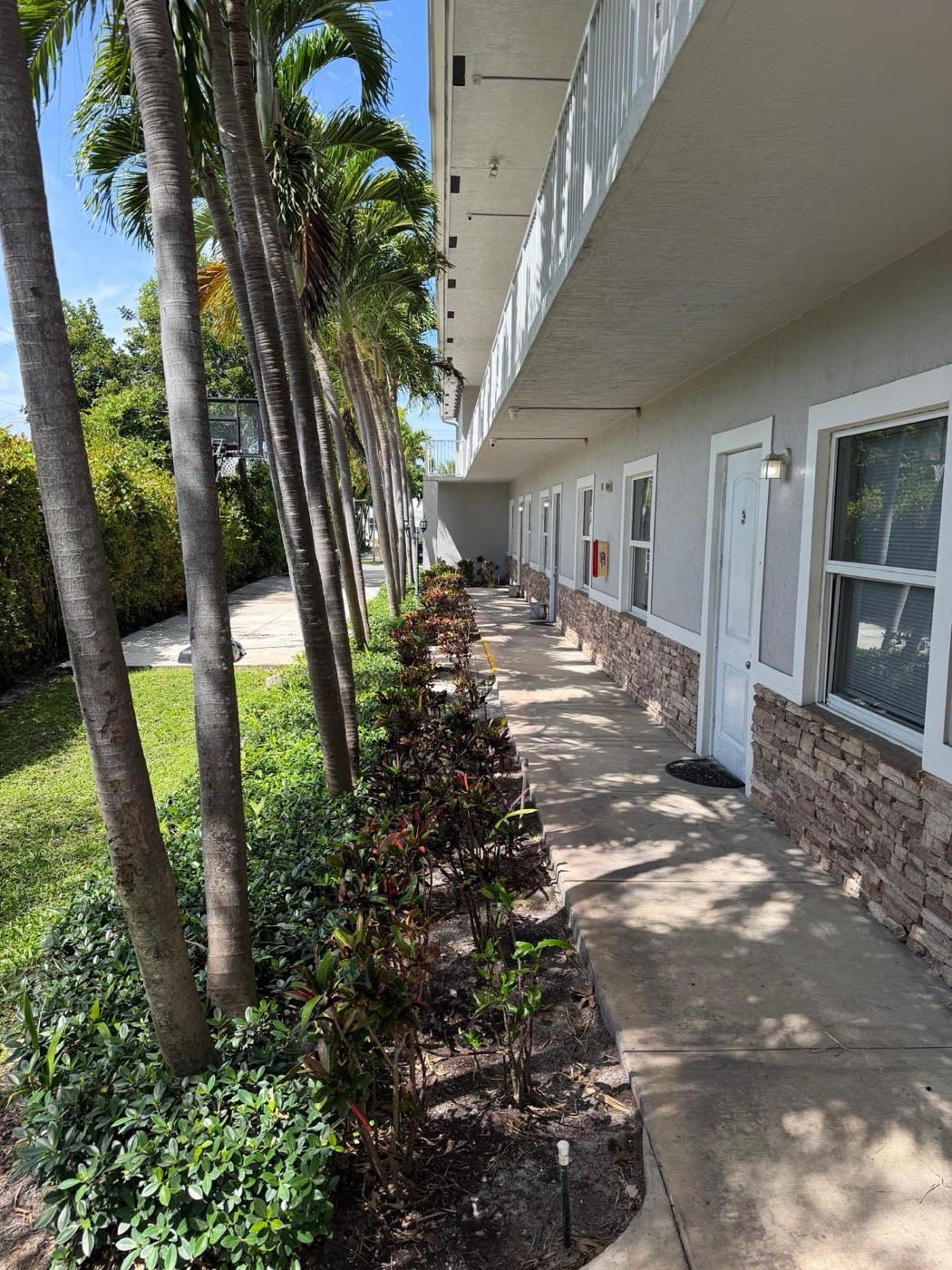 Covered walkway at the Ebb Tide residence — a row of unit doors lined with palms and tropical plantings